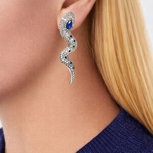 Elegant Silver and Blue Snake Earrings